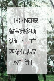 桂小厨获餐宝典多项认证：“广西菜代表品牌”等