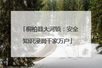 桐柏县大河镇：安全知识浸润千家万户