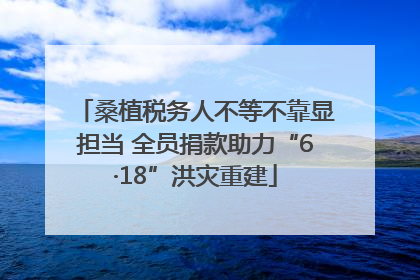 桑植税务人不等不靠显担当 全员捐款助力“6·18”洪灾重建