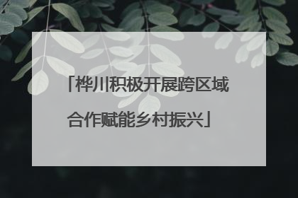 桦川积极开展跨区域合作赋能乡村振兴