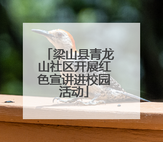 梁山县青龙山社区开展红色宣讲进校园活动