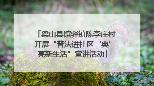 梁山县馆驿镇陈李庄村开展“普法进社区‘典’亮新生活”宣讲活动