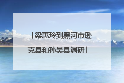 梁惠玲到黑河市逊克县和孙吴县调研