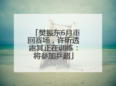 樊振东6月重回赛场，许昕透露其正在训练：将参加乒超
