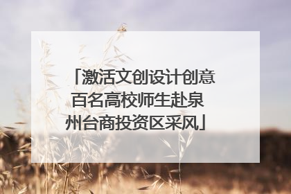 激活文创设计创意 百名高校师生赴泉州台商投资区采风