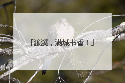 濂溪，满城书香！