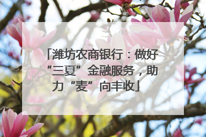 潍坊农商银行：做好“三夏”金融服务，助力“麦”向丰收