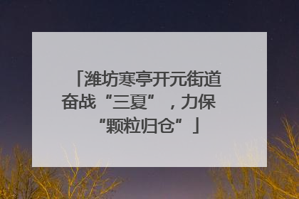 潍坊寒亭开元街道奋战“三夏”，力保“颗粒归仓”