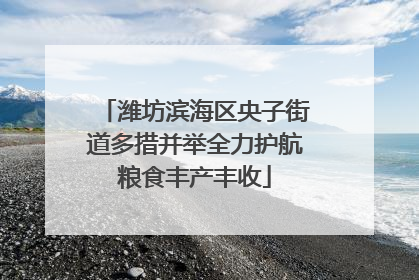 潍坊滨海区央子街道多措并举全力护航粮食丰产丰收