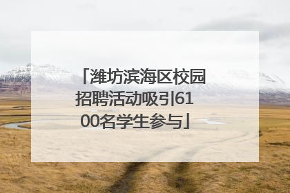 潍坊滨海区校园招聘活动吸引6100名学生参与