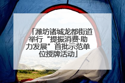 潍坊诸城龙都街道举行“提振消费·助力发展”首批示范单位授牌活动