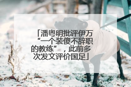 潘粤明批评伊万“一个装傻不辞职的教练”，此前多次发文评价国足