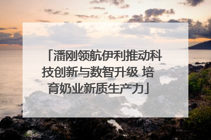 潘刚领航伊利推动科技创新与数智升级 培育奶业新质生产力