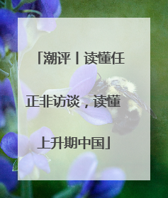 潮评丨读懂任正非访谈，读懂上升期中国