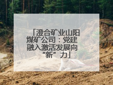 澄合矿业山阳煤矿公司：党建融入激活发展向“新”力