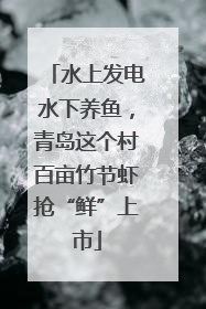 水上发电水下养鱼，青岛这个村百亩竹节虾抢“鲜”上市