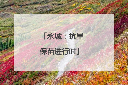 永城：抗旱保苗进行时