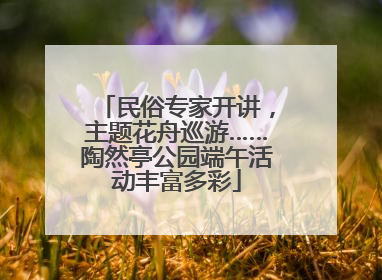 民俗专家开讲，主题花舟巡游……陶然亭公园端午活动丰富多彩