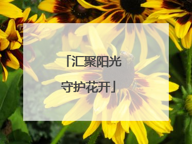 汇聚阳光 守护花开