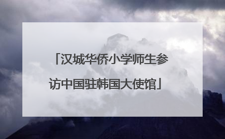 汉城华侨小学师生参访中国驻韩国大使馆