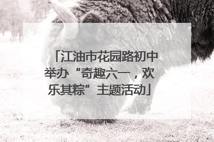 江油市花园路初中举办“奇趣六一，欢乐其粽”主题活动