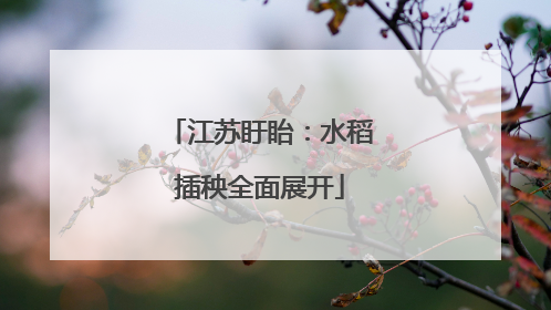 江苏盱眙：水稻插秧全面展开