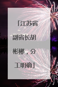 江苏省副省长胡彬郴，分工明确