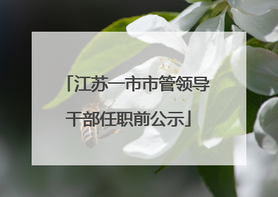江苏一市市管领导干部任职前公示