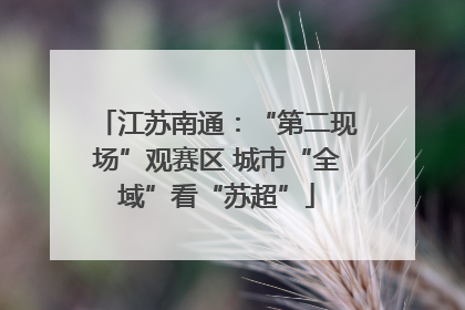 江苏南通：“第二现场”观赛区 城市“全域”看“苏超”
