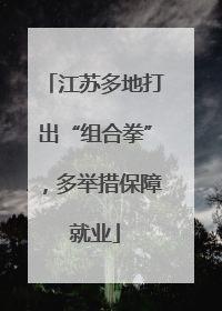 江苏多地打出“组合拳”，多举措保障就业