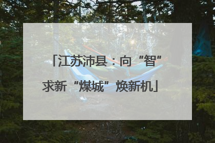 江苏沛县：向“智”求新“煤城”焕新机