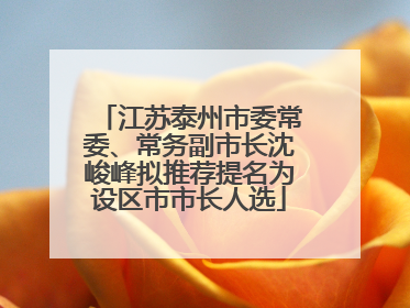 江苏泰州市委常委、常务副市长沈峻峰拟推荐提名为设区市市长人选