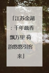 江苏金湖：千年藕香飘万里 荷韵悠悠引客来