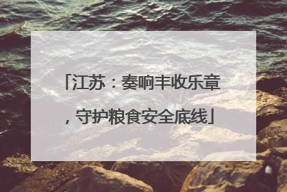 江苏：奏响丰收乐章，守护粮食安全底线