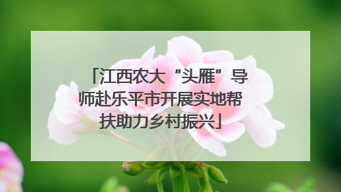 江西农大“头雁”导师赴乐平市开展实地帮扶助力乡村振兴
