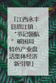 江西永丰县恩江镇：“书记领航”破困局 特色产业盘活集体经济新引擎