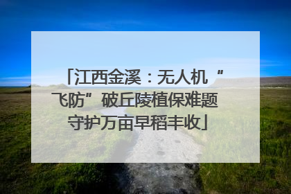 江西金溪：无人机“飞防”破丘陵植保难题 守护万亩早稻丰收