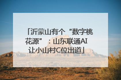 沂蒙山有个“数字桃花源”：山东联通AI让小山村C位出道