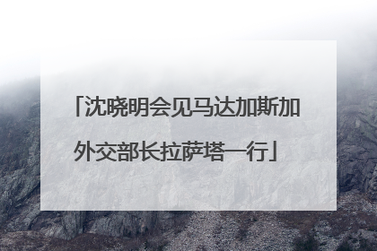 沈晓明会见马达加斯加外交部长拉萨塔一行