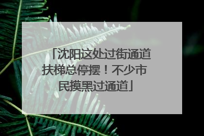沈阳这处过街通道扶梯总停摆！不少市民摸黑过通道