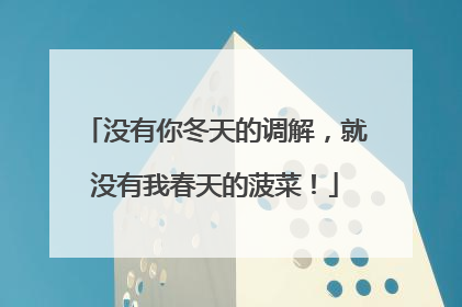 没有你冬天的调解，就没有我春天的菠菜！