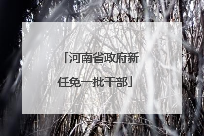河南省政府新任免一批干部