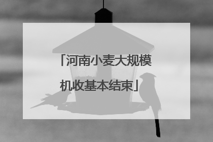 河南小麦大规模机收基本结束