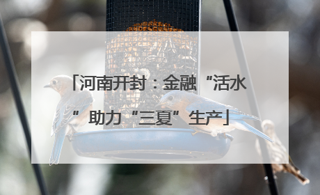 河南开封：金融“活水”助力“三夏”生产