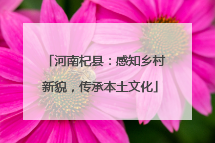 河南杞县：感知乡村新貌，传承本土文化