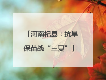 河南杞县：抗旱保苗战“三夏”