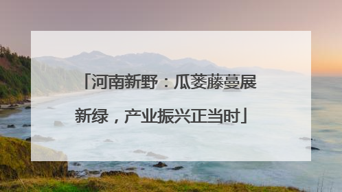 河南新野：瓜蒌藤蔓展新绿，产业振兴正当时