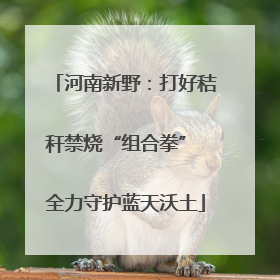 河南新野：打好秸秆禁烧“组合拳” 全力守护蓝天沃土