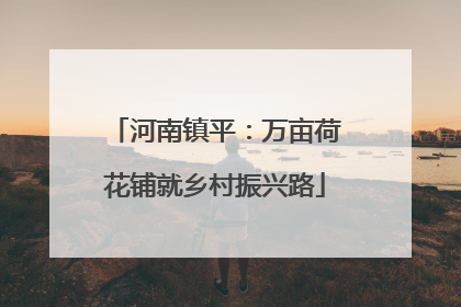 河南镇平：万亩荷花铺就乡村振兴路