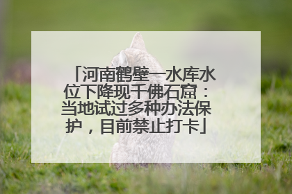 河南鹤壁一水库水位下降现千佛石窟：当地试过多种办法保护，目前禁止打卡